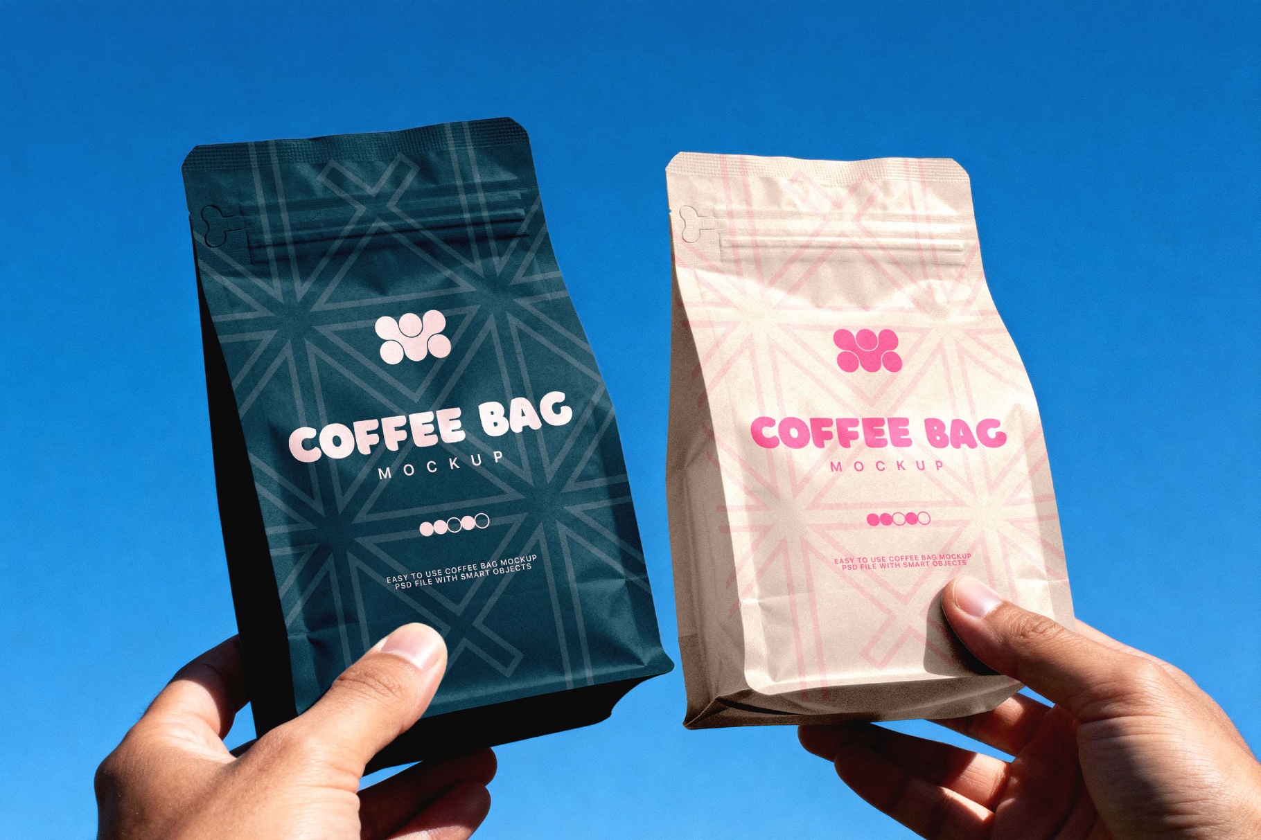 Coffee Bag Mockup in Hand