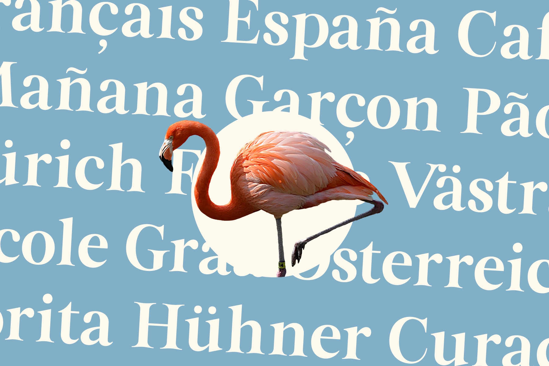 Altahera Display - Elegant Serif Display Font