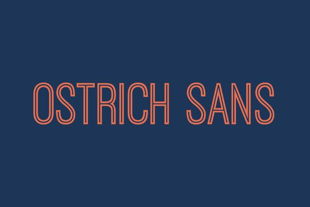 Ostrich Sans - 90s Font Family