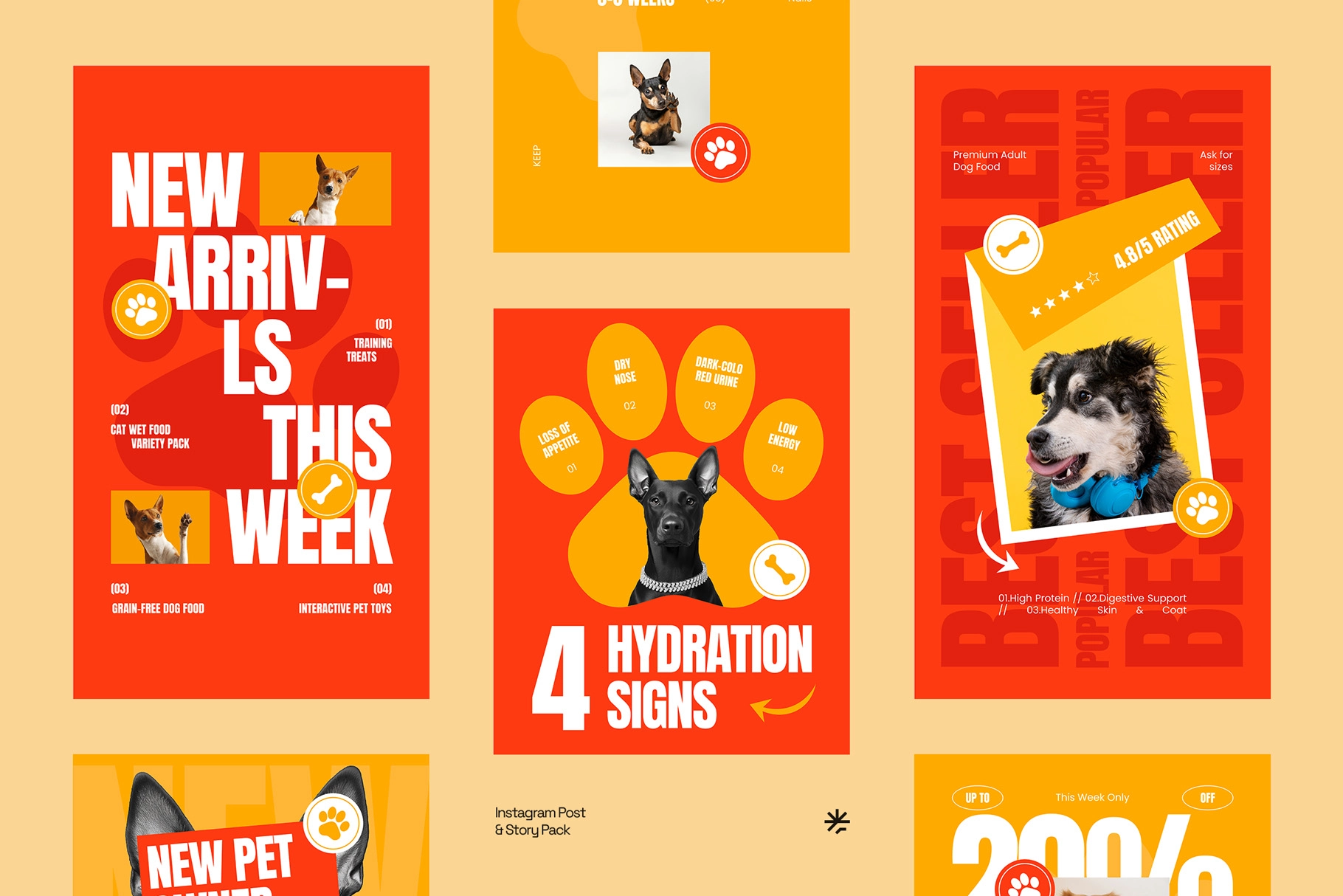 Pet Care Instagram Post & Stories - Adobe Template