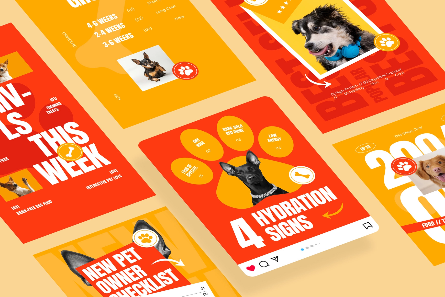 Pet Care Instagram Post & Stories - For Affinity