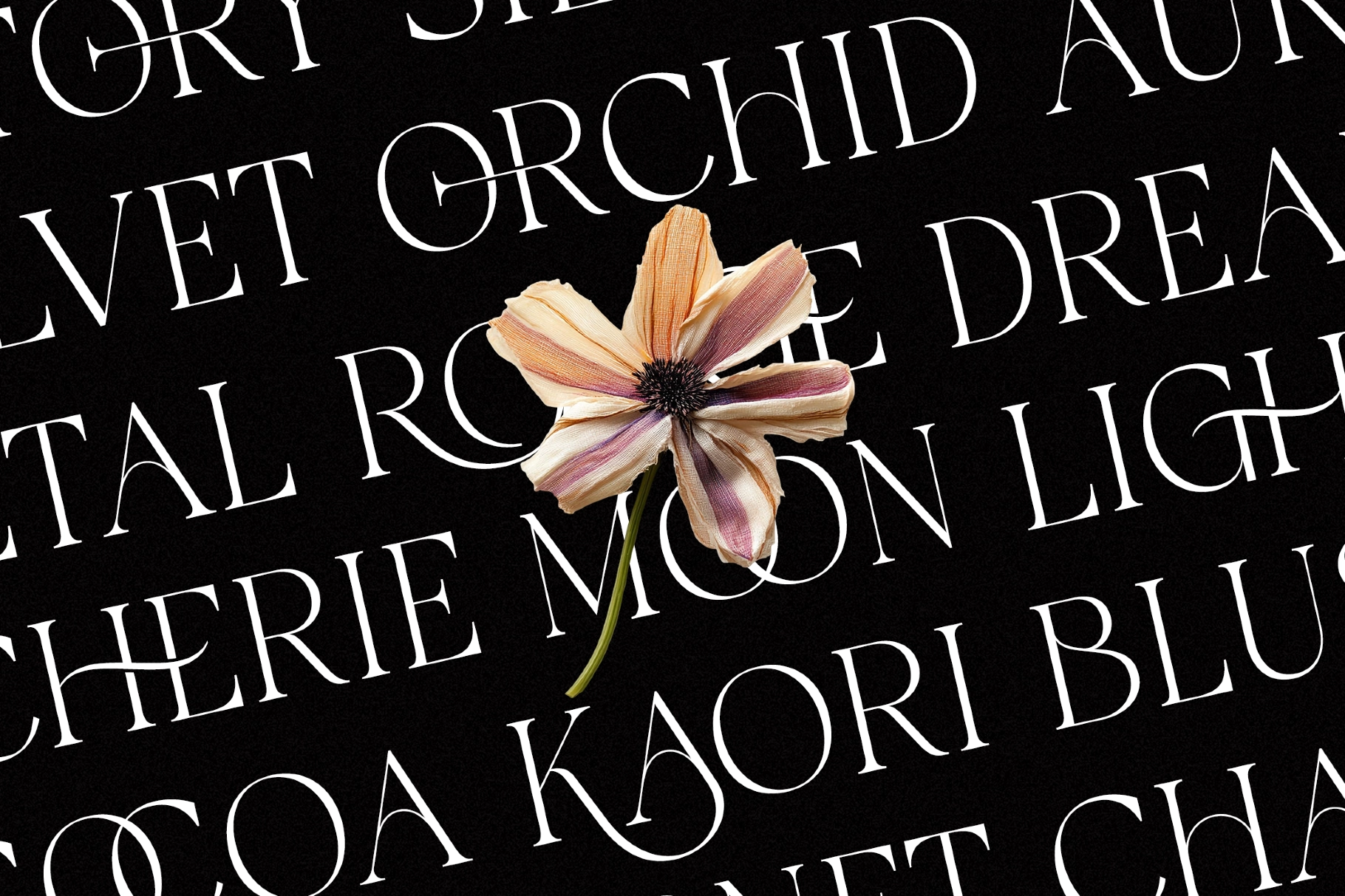 Galvore - Luxury Ligature Serif Font