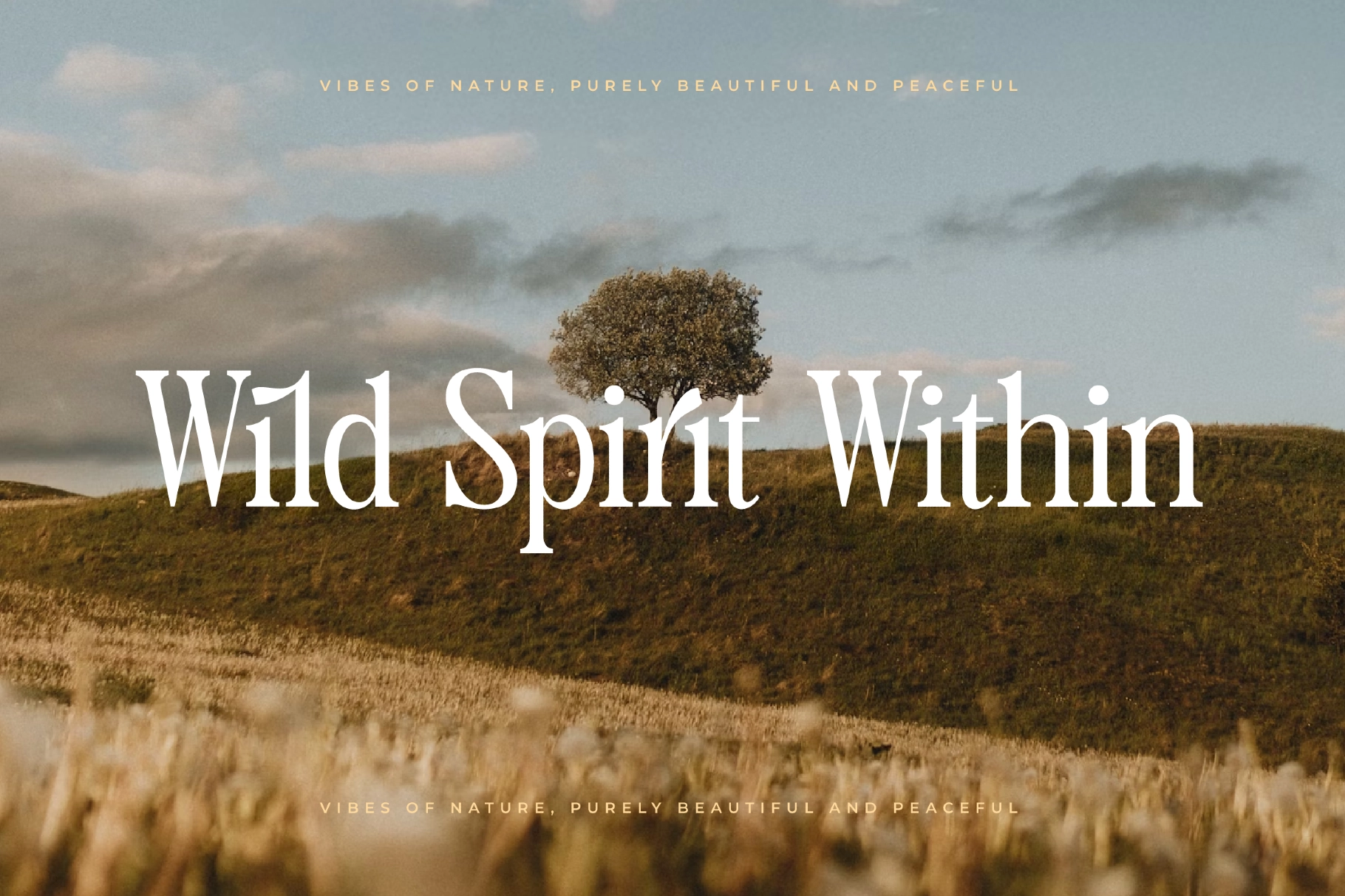 Magice Berries - Elegant Editorial Serif Font
