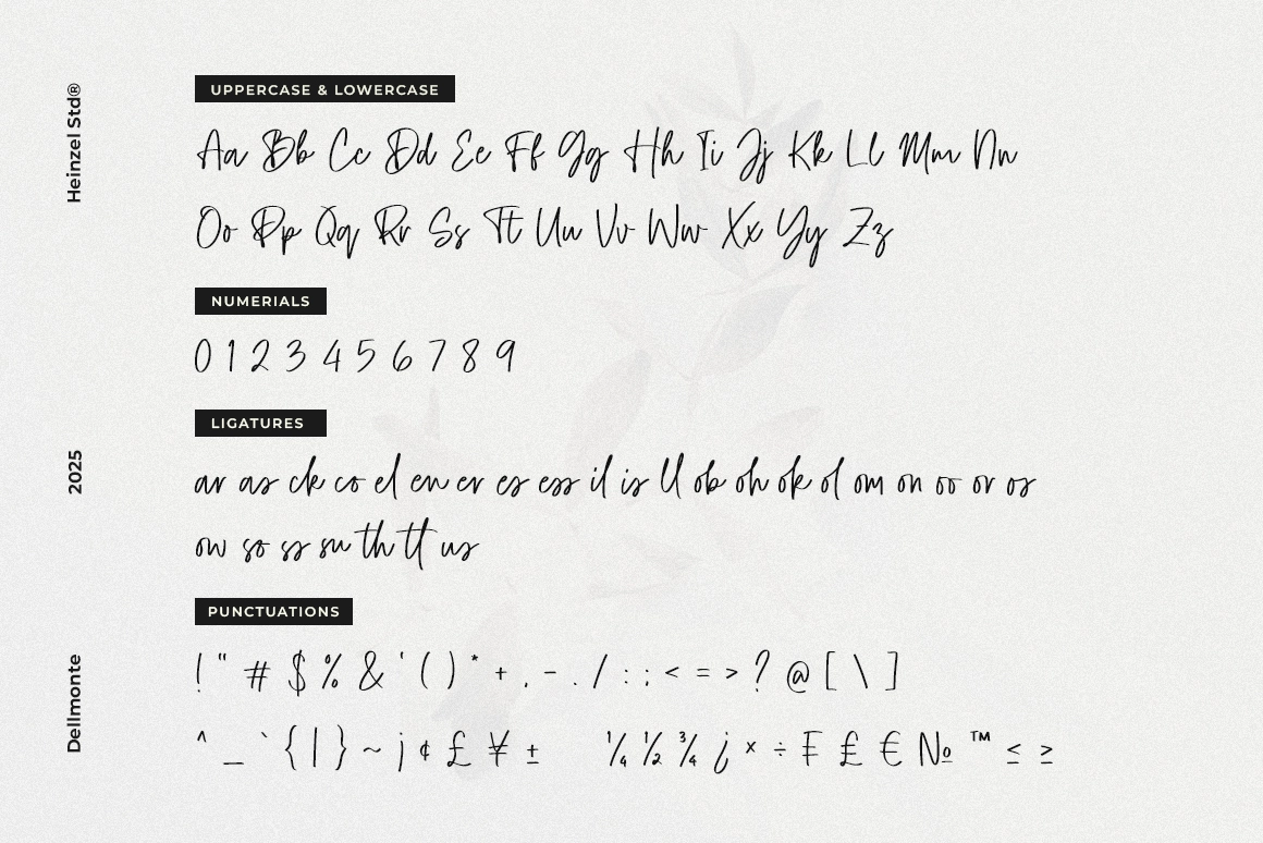 Dellmonte - Handwritten Script Font
