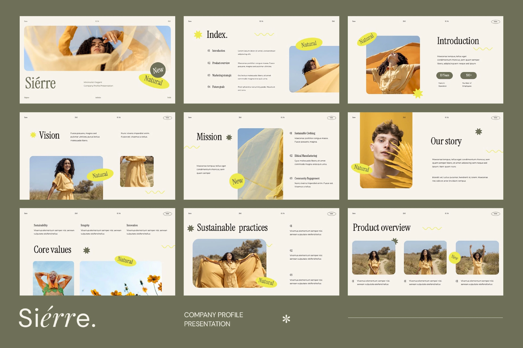 Sierre - Interactive Company Profile Google Slides