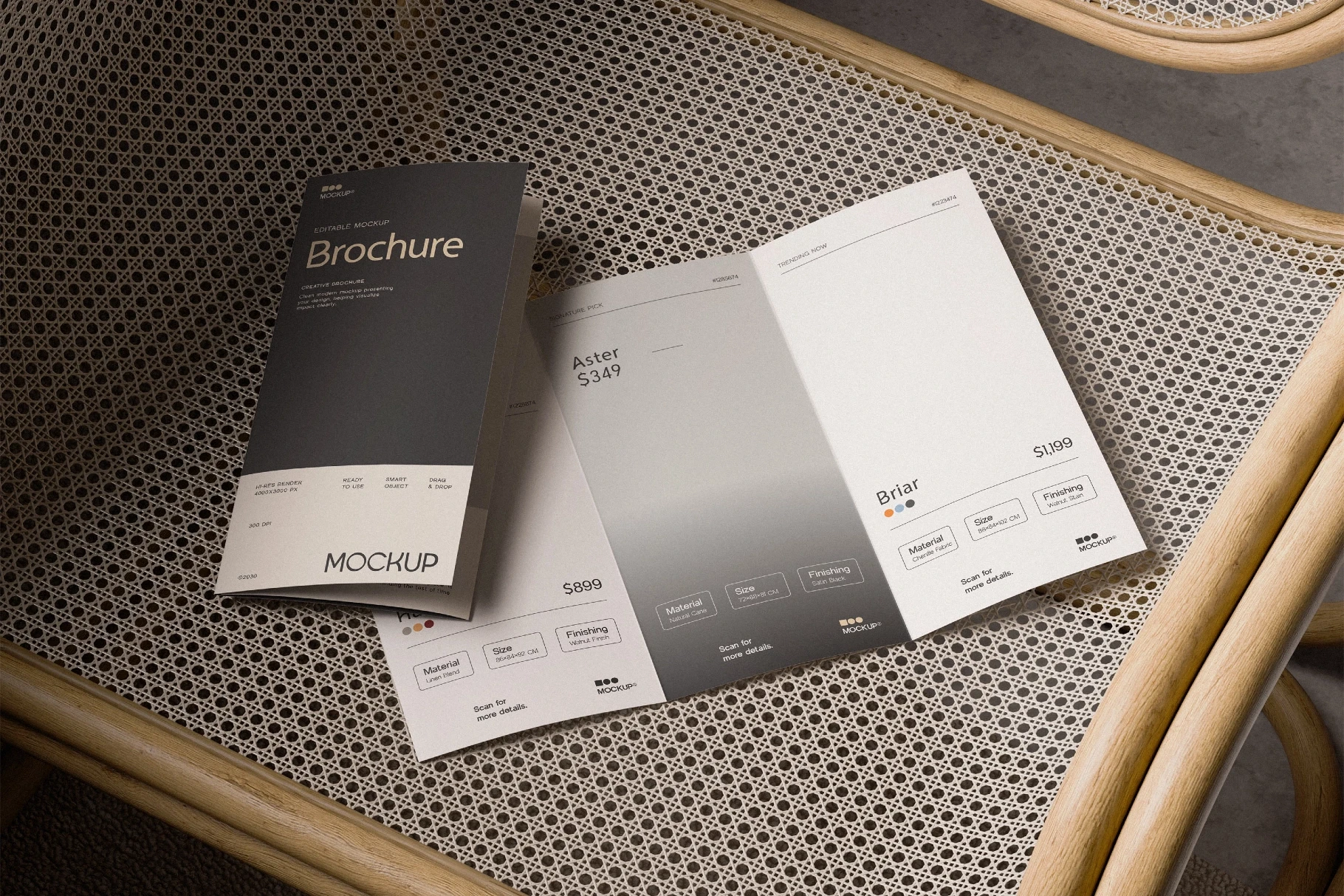 Trifold Brochure Mockup
