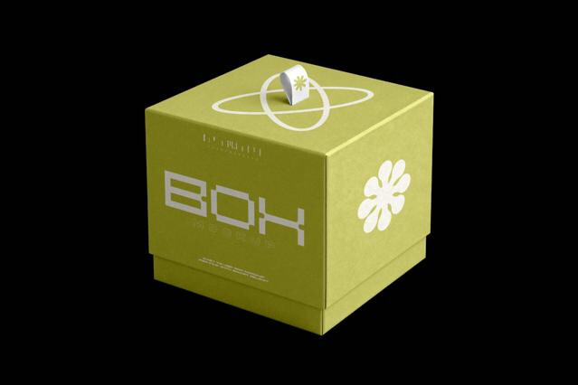 Luxury Box Mockup with Lid