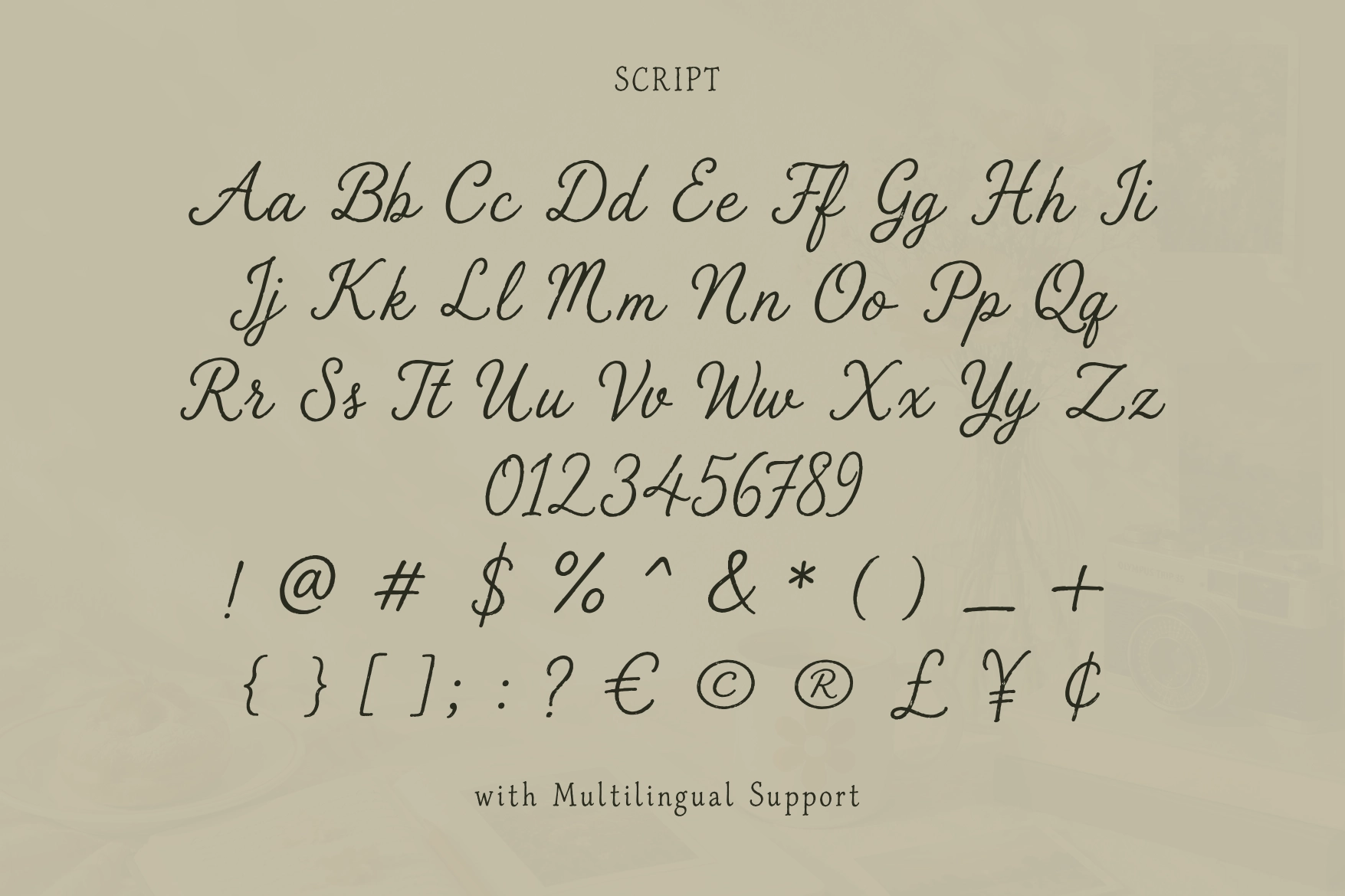 The Sunny Field - Rustic Serif & Script Duo