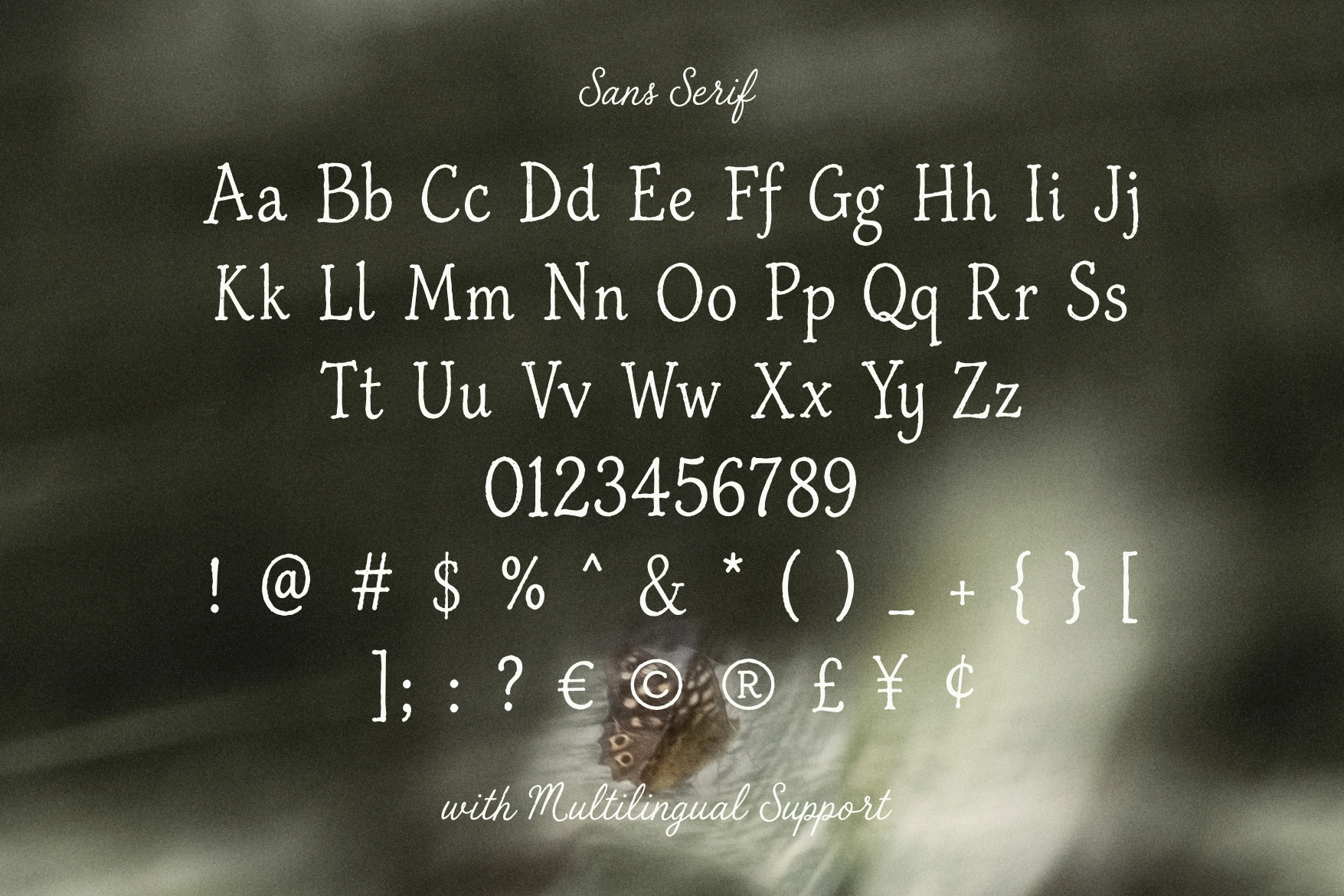 The Sunny Field - Rustic Serif & Script Duo
