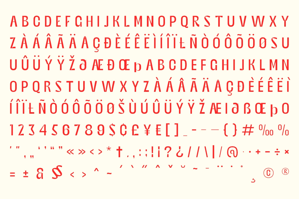 Bingro - Bold Food Branding Family Font