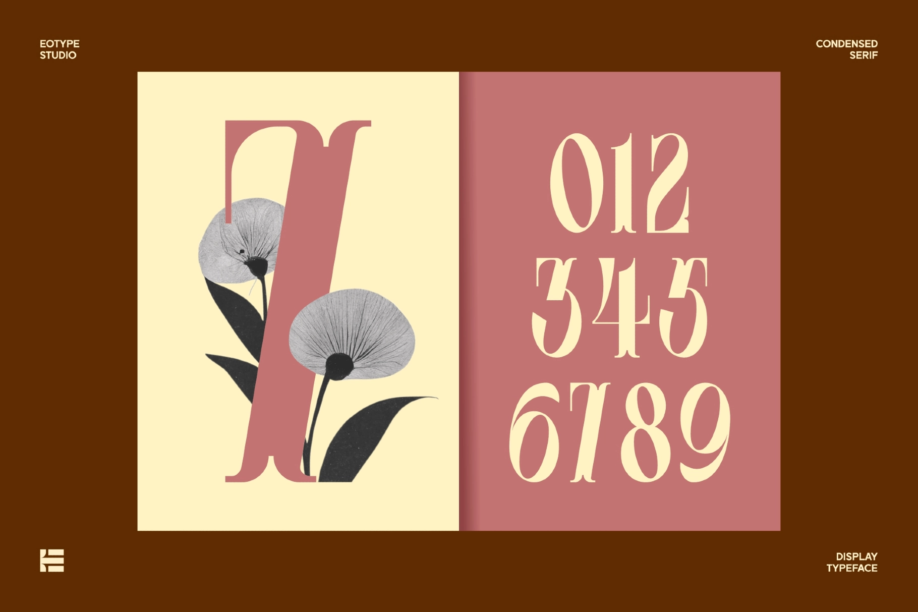 Leonice - Elegant Condensed Serif Font