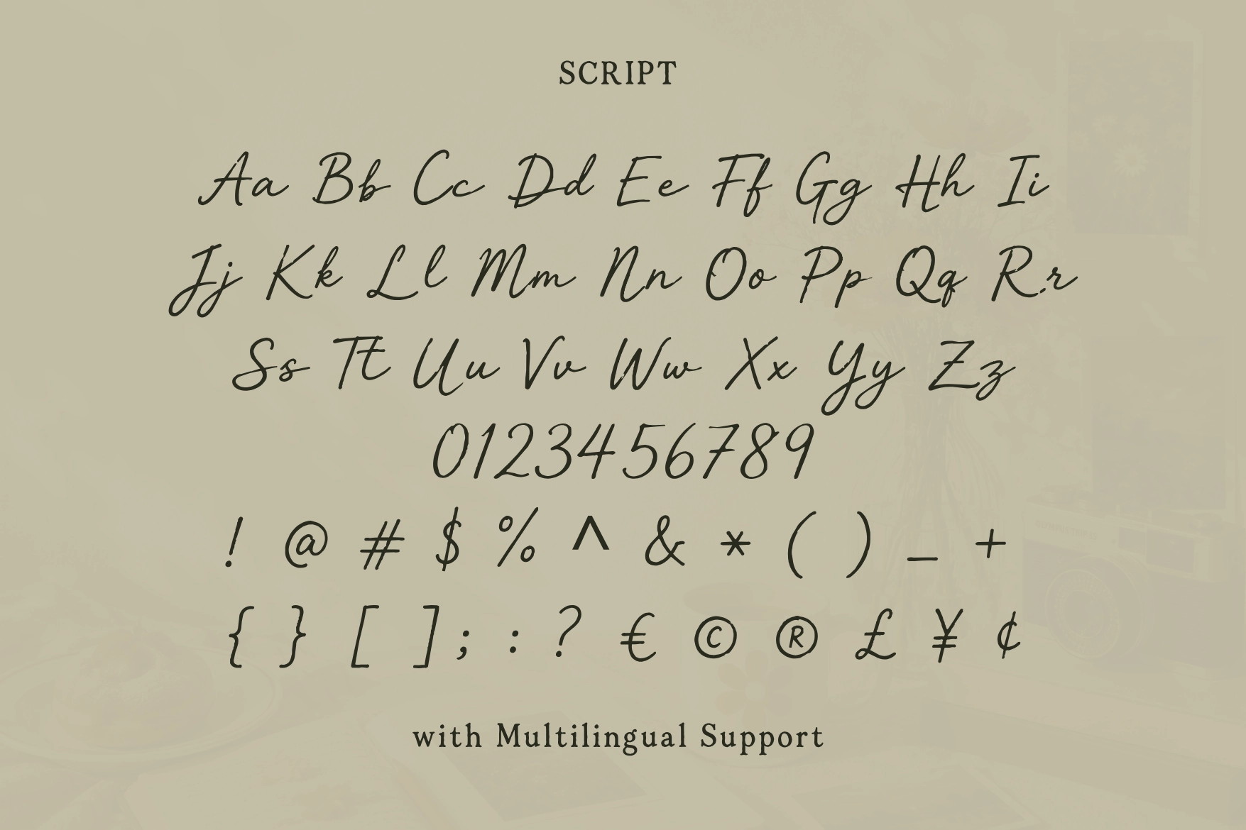 Tjiwidej Heritage – Serif & Script Font Duo