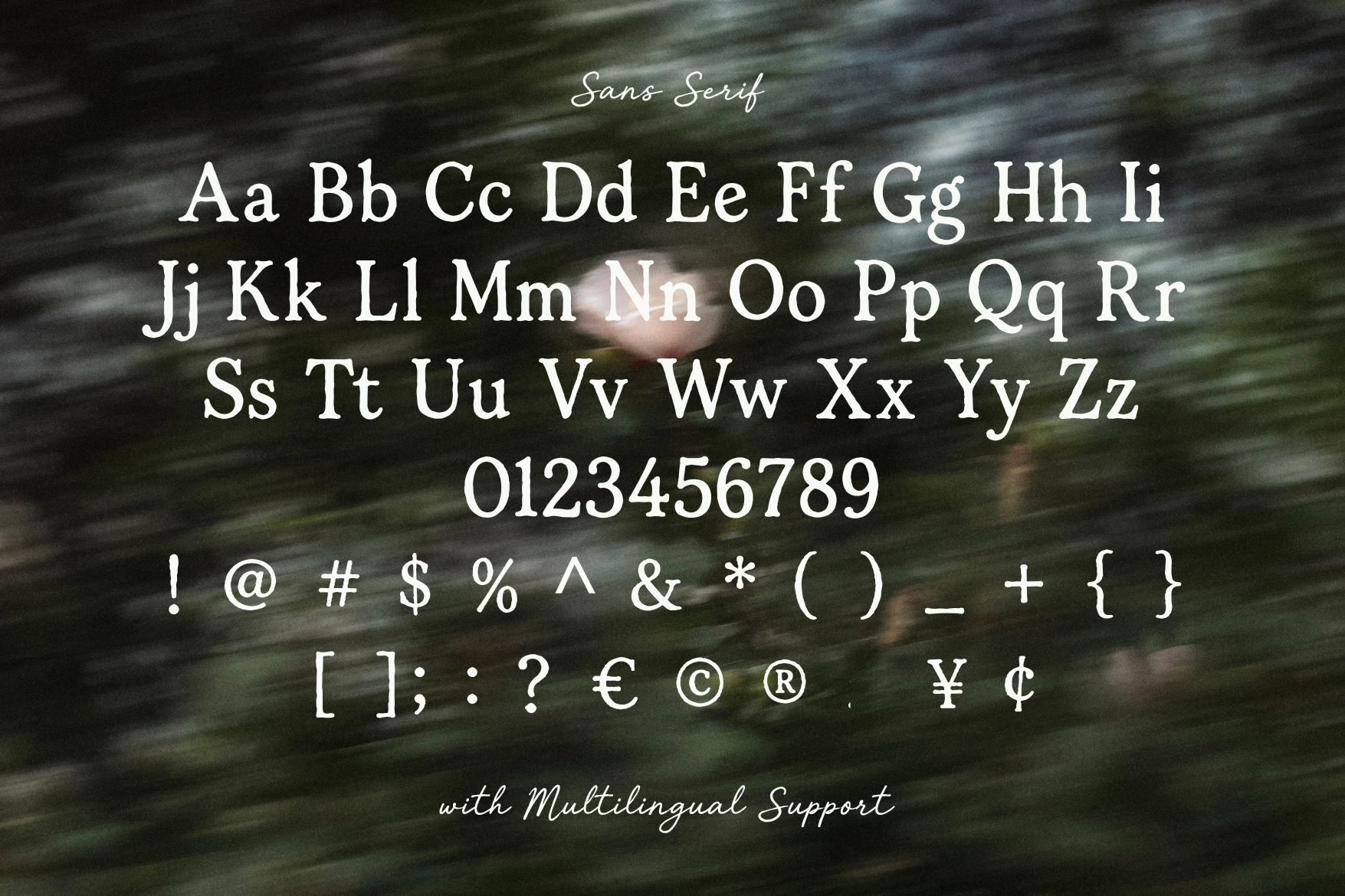 Tjiwidej Heritage – Serif & Script Font Duo