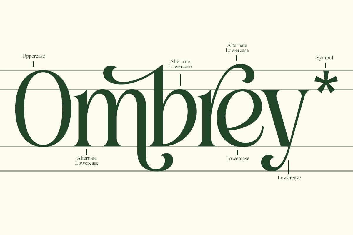 Roilega - Elegant Luxury Serif Family Font