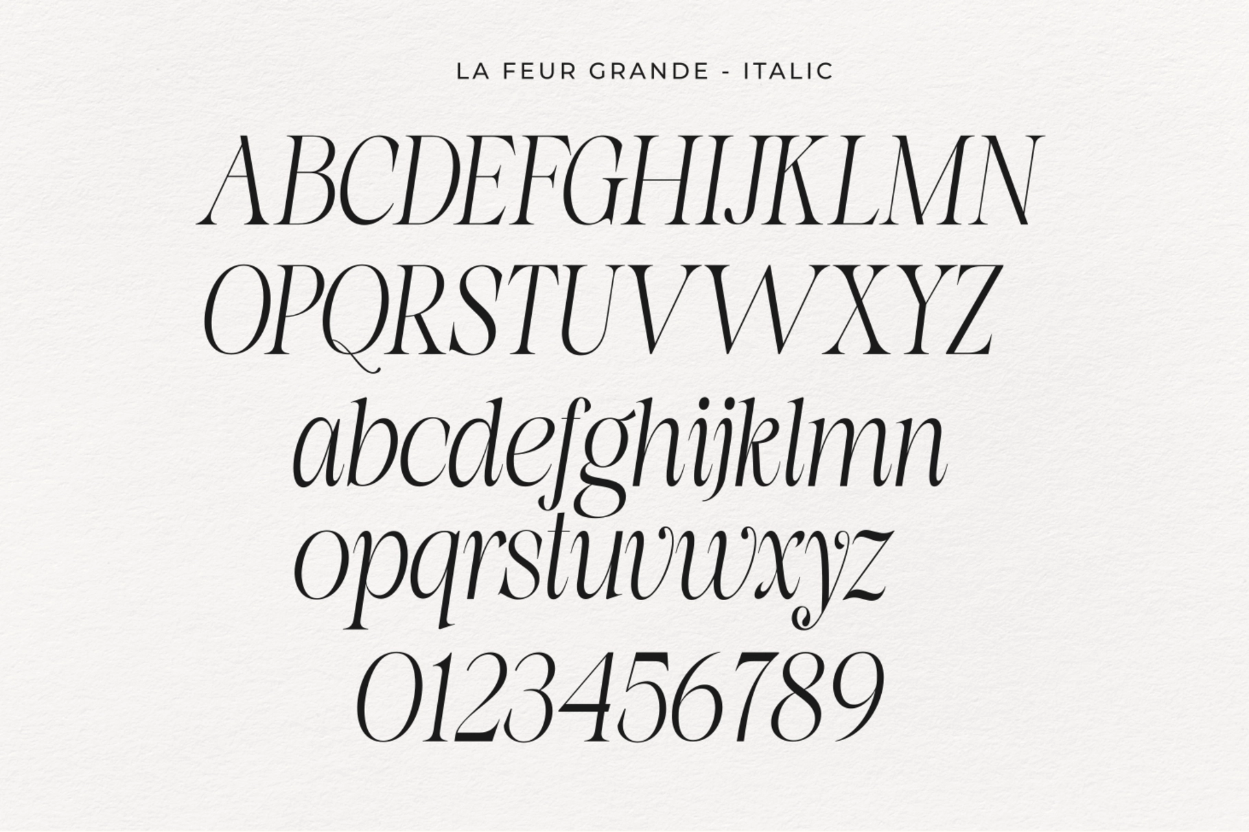 La Fleur Grande – Elegant Serif Font