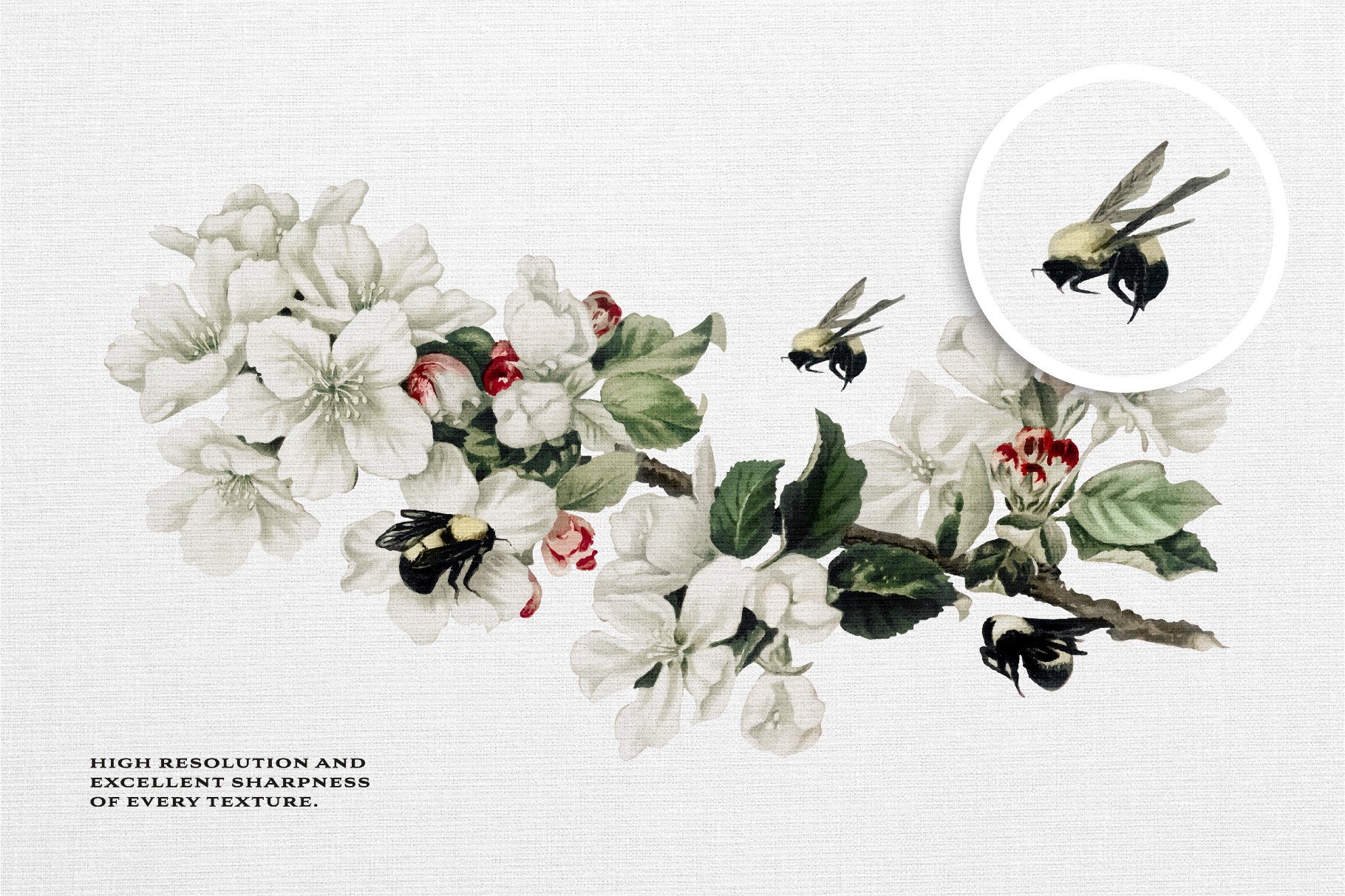 The White Canvas Textures
