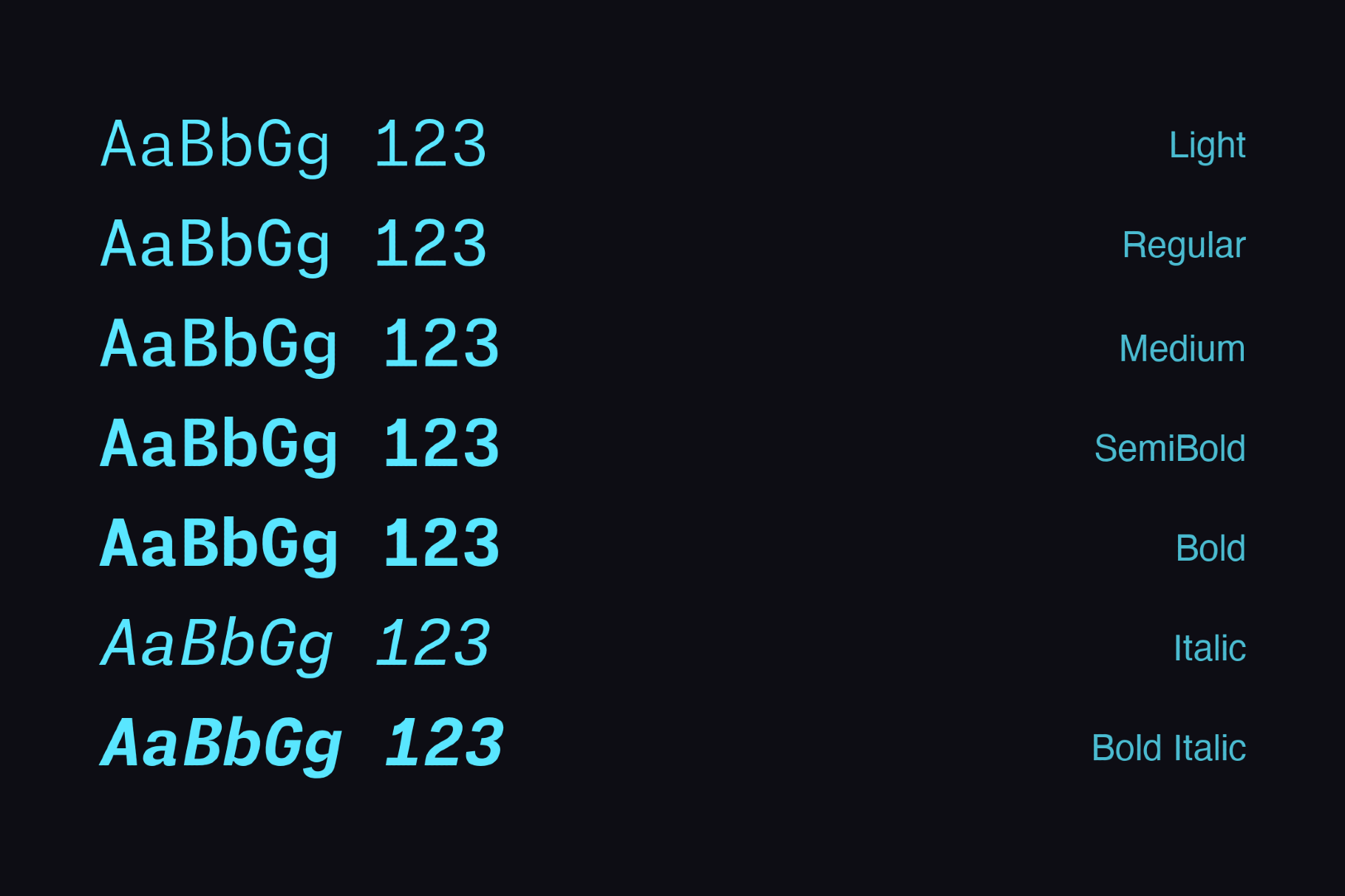 Monaspace Neon Font Family