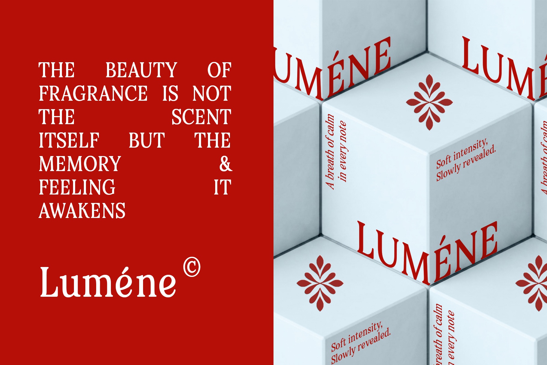 Basic Roots - Elegant Vintage Serif Font Family