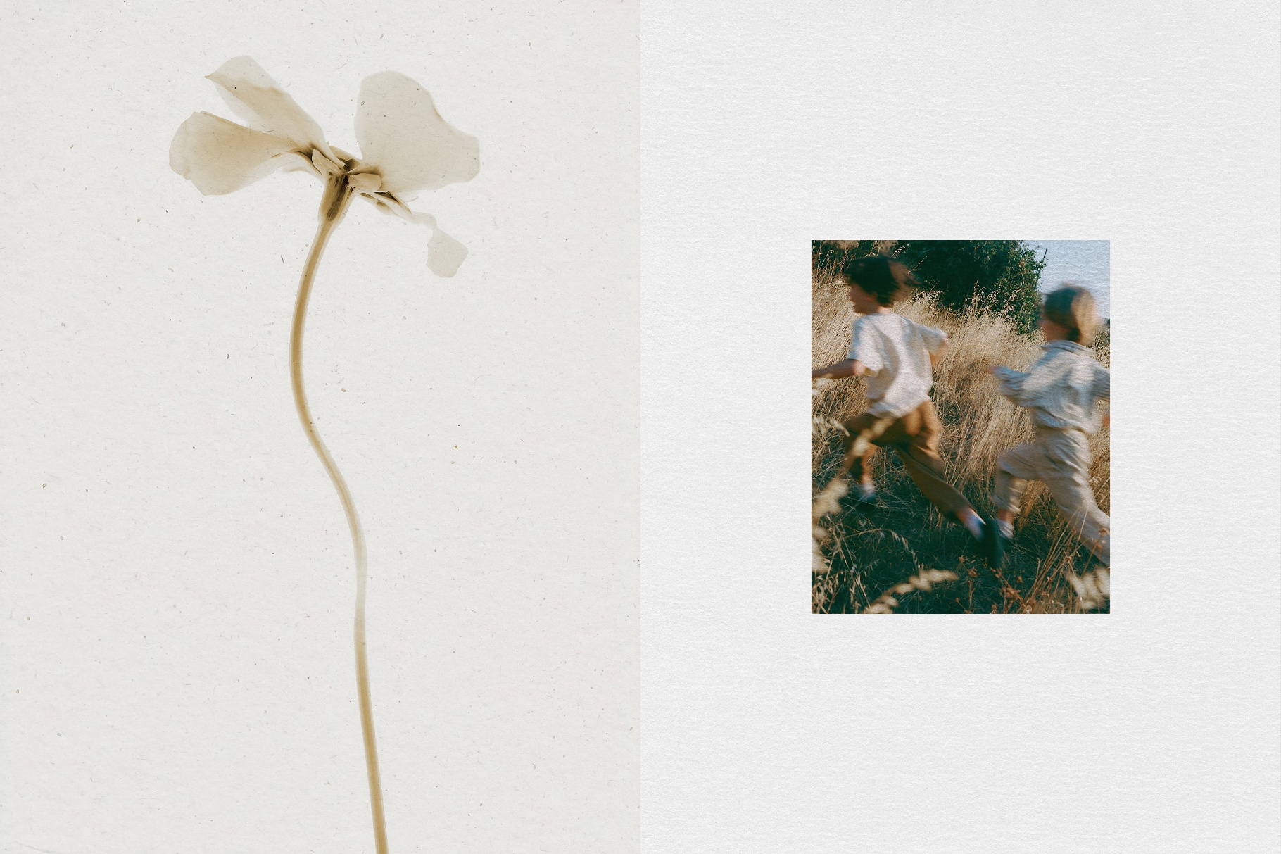 Subtle Paper Textures