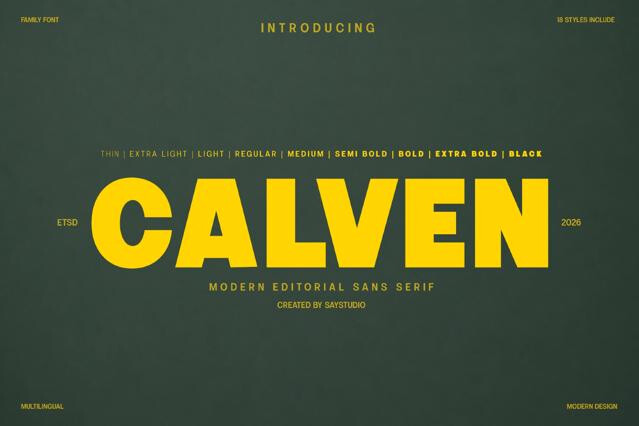 Calven - Geometric Sans Serif Font Family