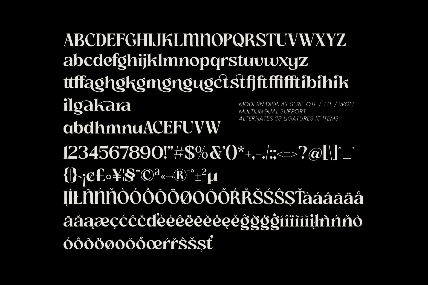 Slow Bar Stories - Retro Display Serif Font