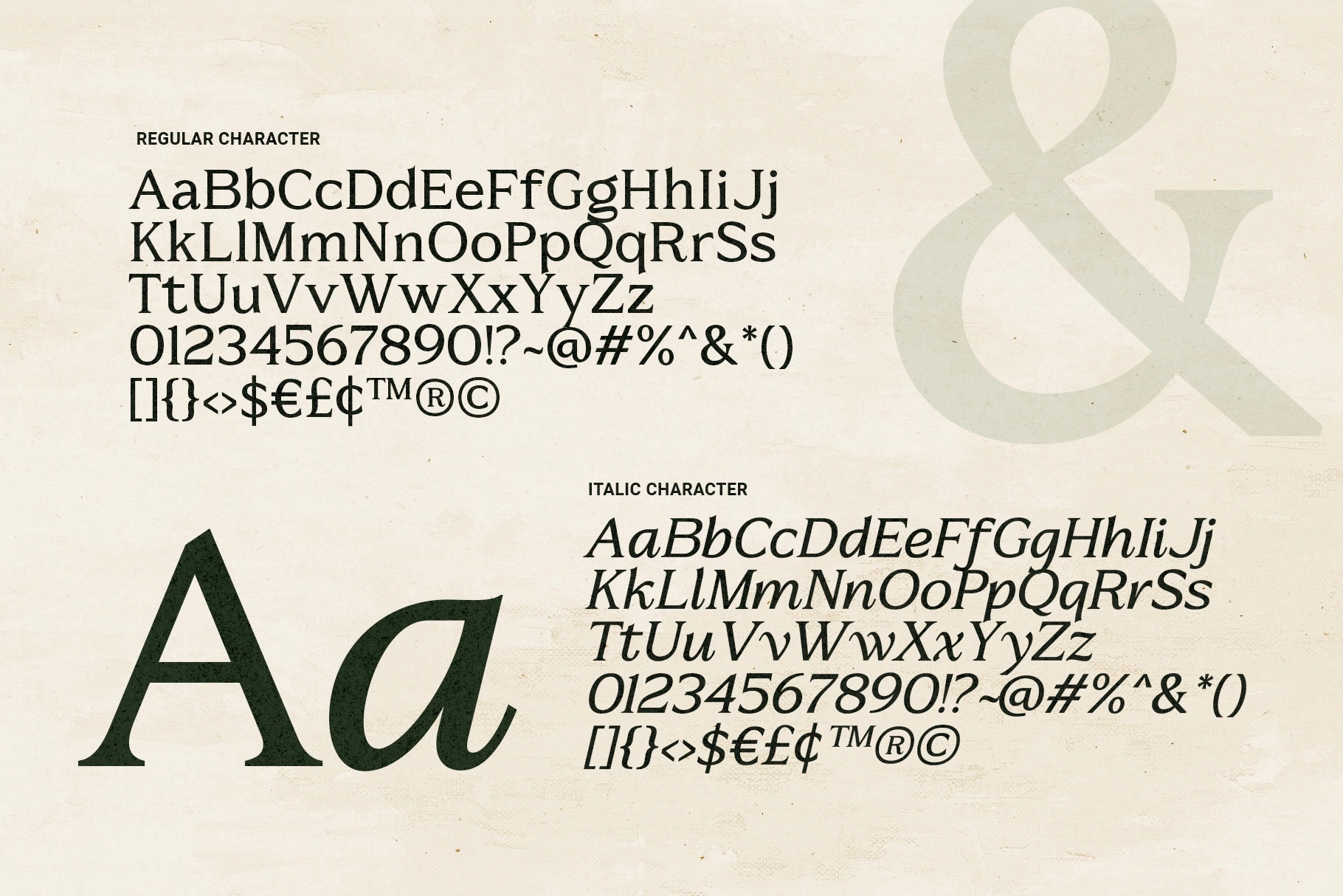 Metaspire - Elegant Display Serif Font