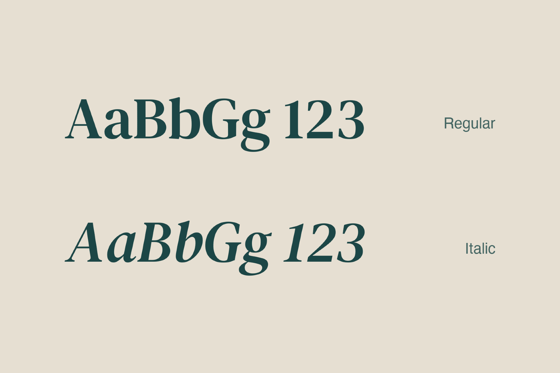 DM Serif Text - Free Font