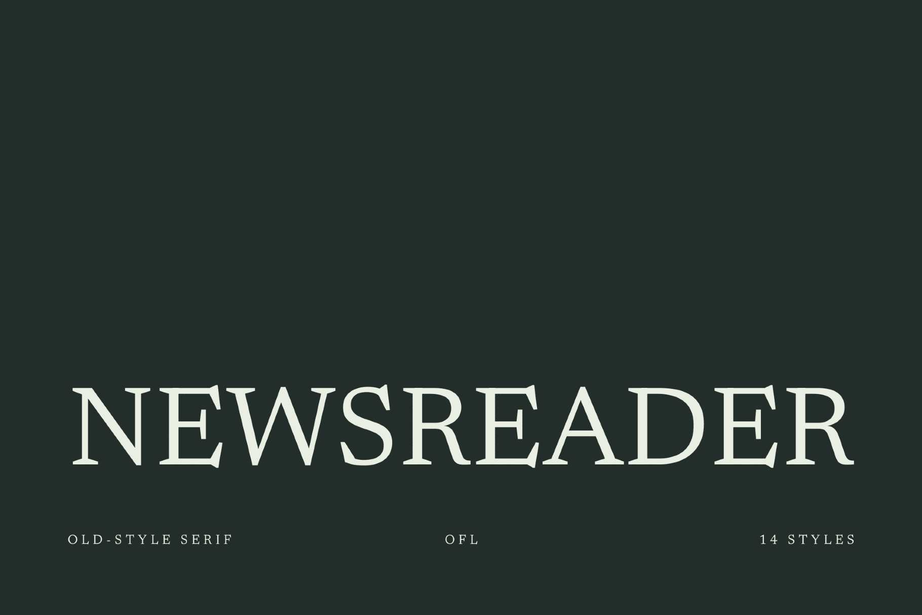 Newsreader - Free Font Family