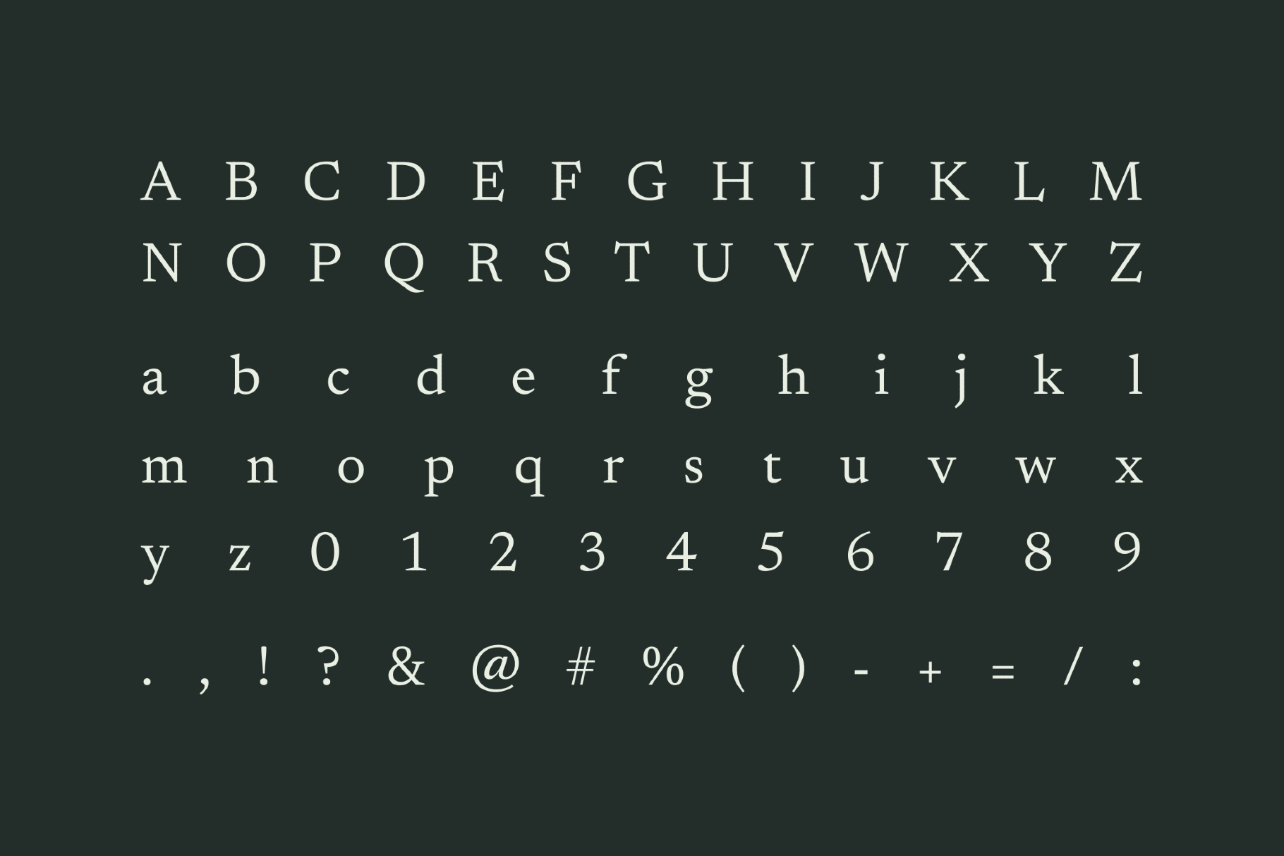 Newsreader - Free Font Family