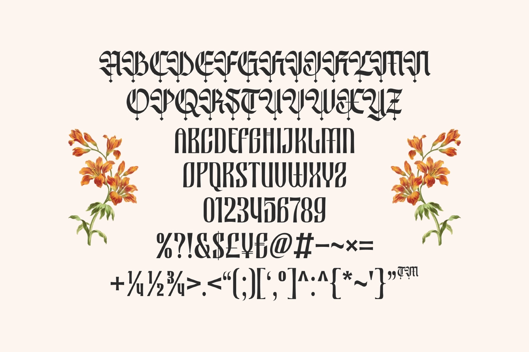 Nocthira - Blackletter Font