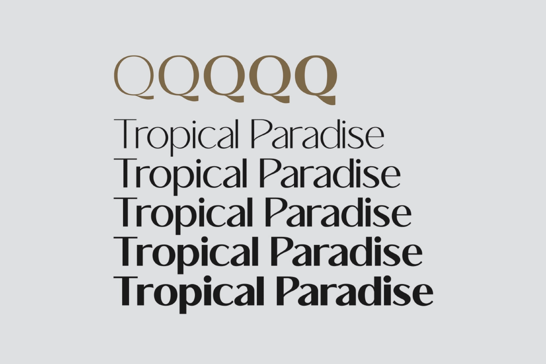 Chiqueta – Luxury Modern Sans Font