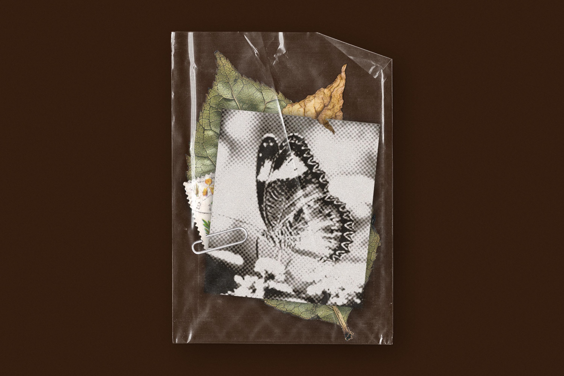Small Plastic Bags Pack