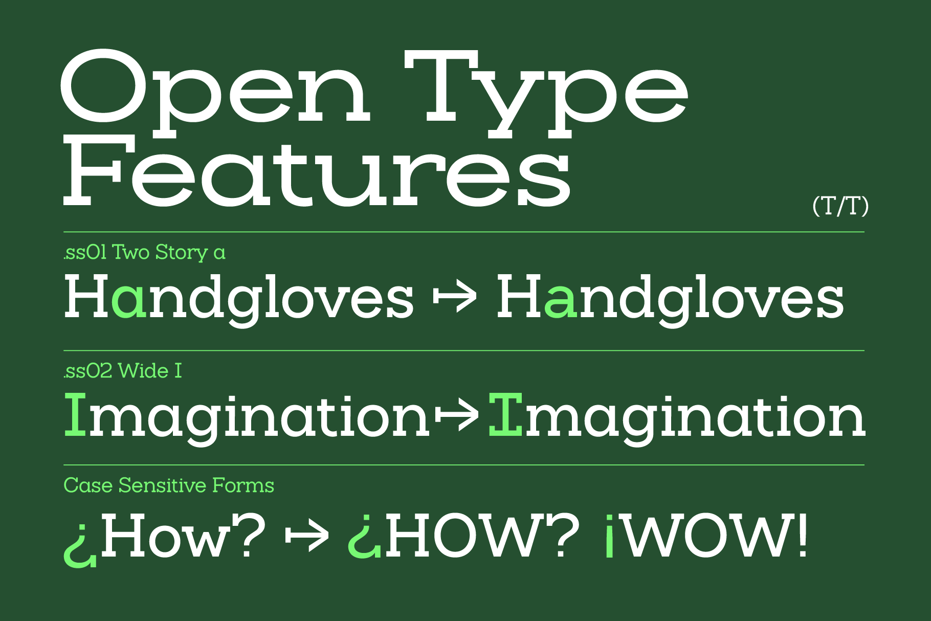 Slaab - Variable Slab Serif Font Family