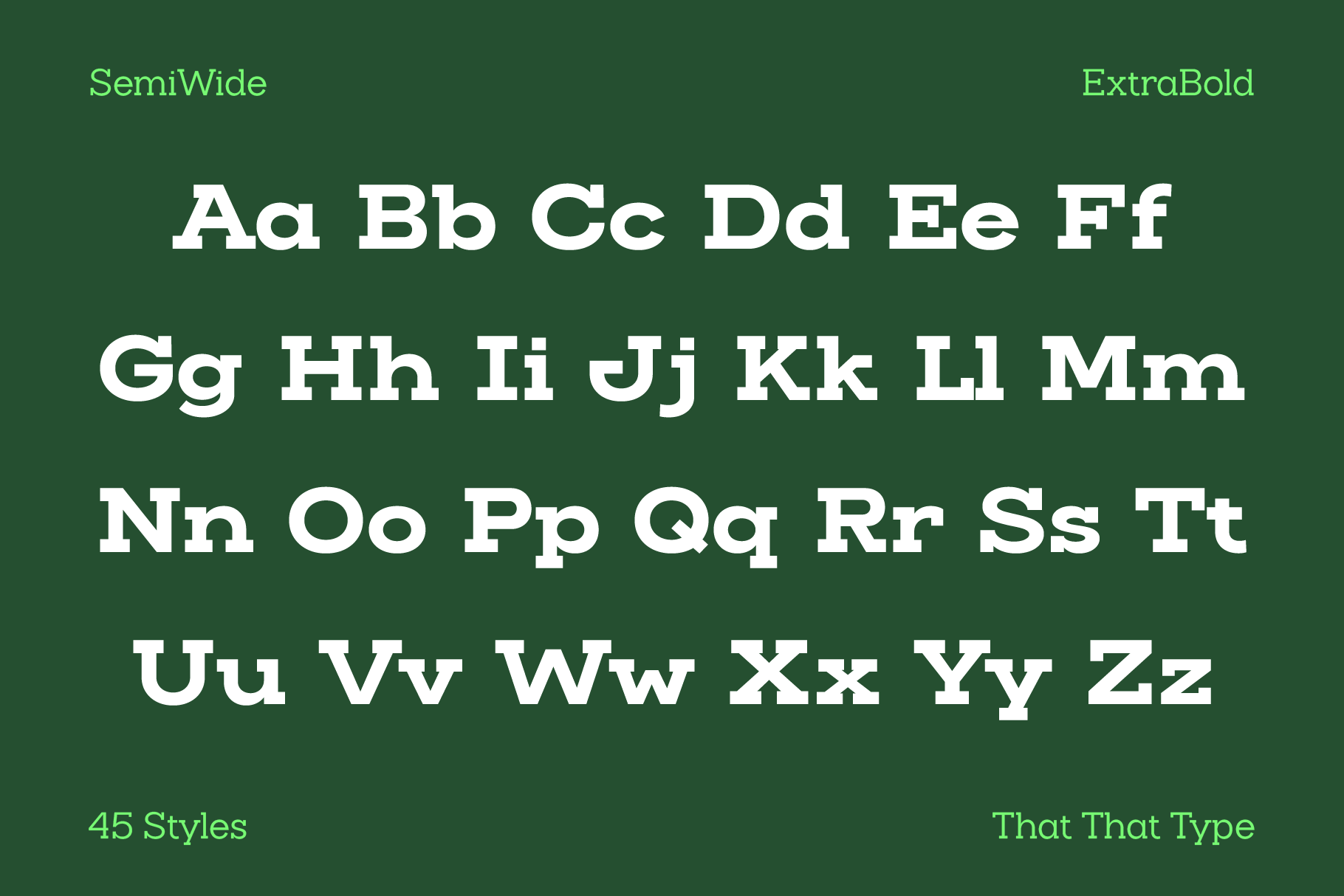Slaab - Variable Slab Serif Font Family