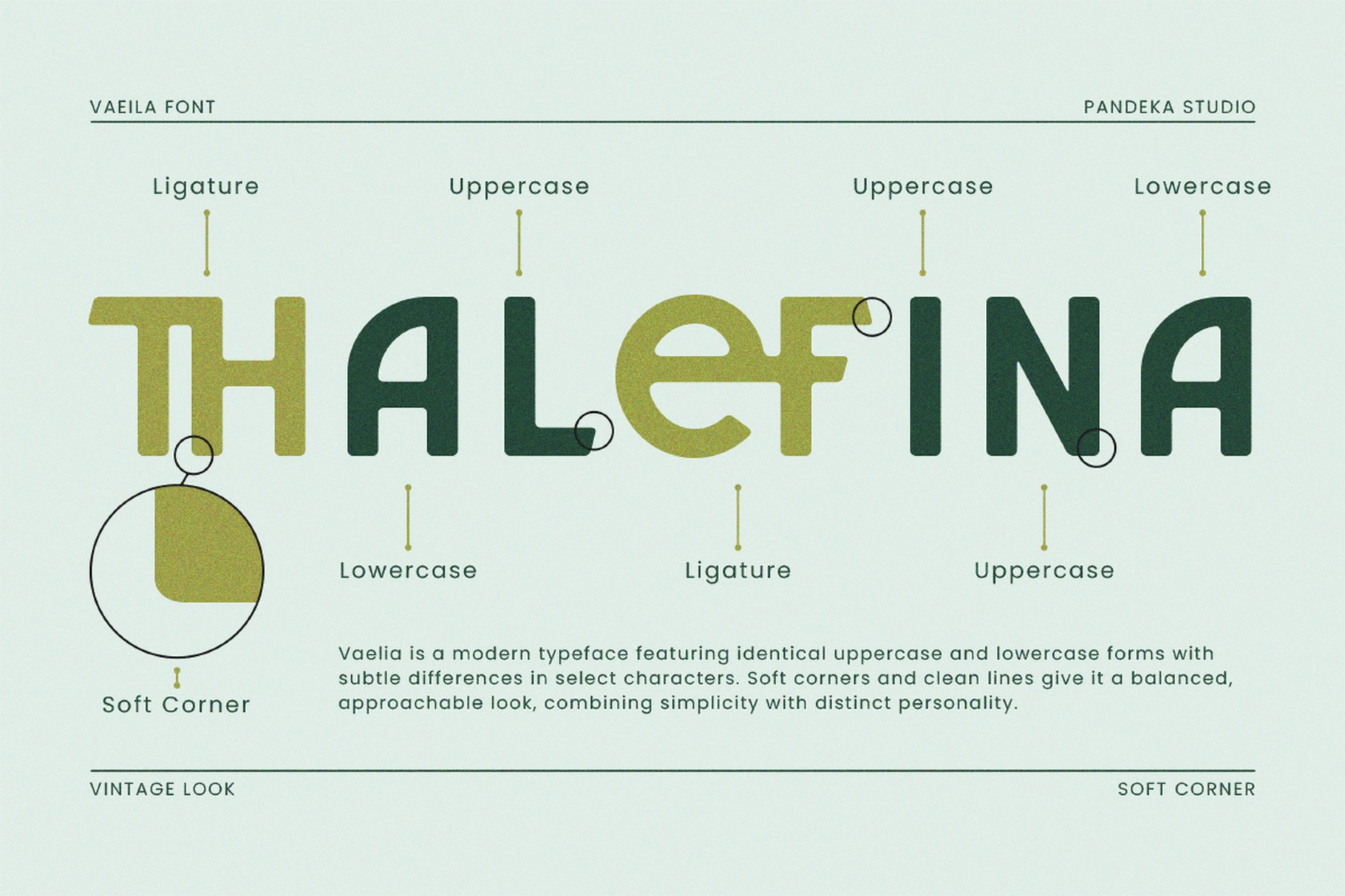 Vaelia - Elegant & Playful Sans Font