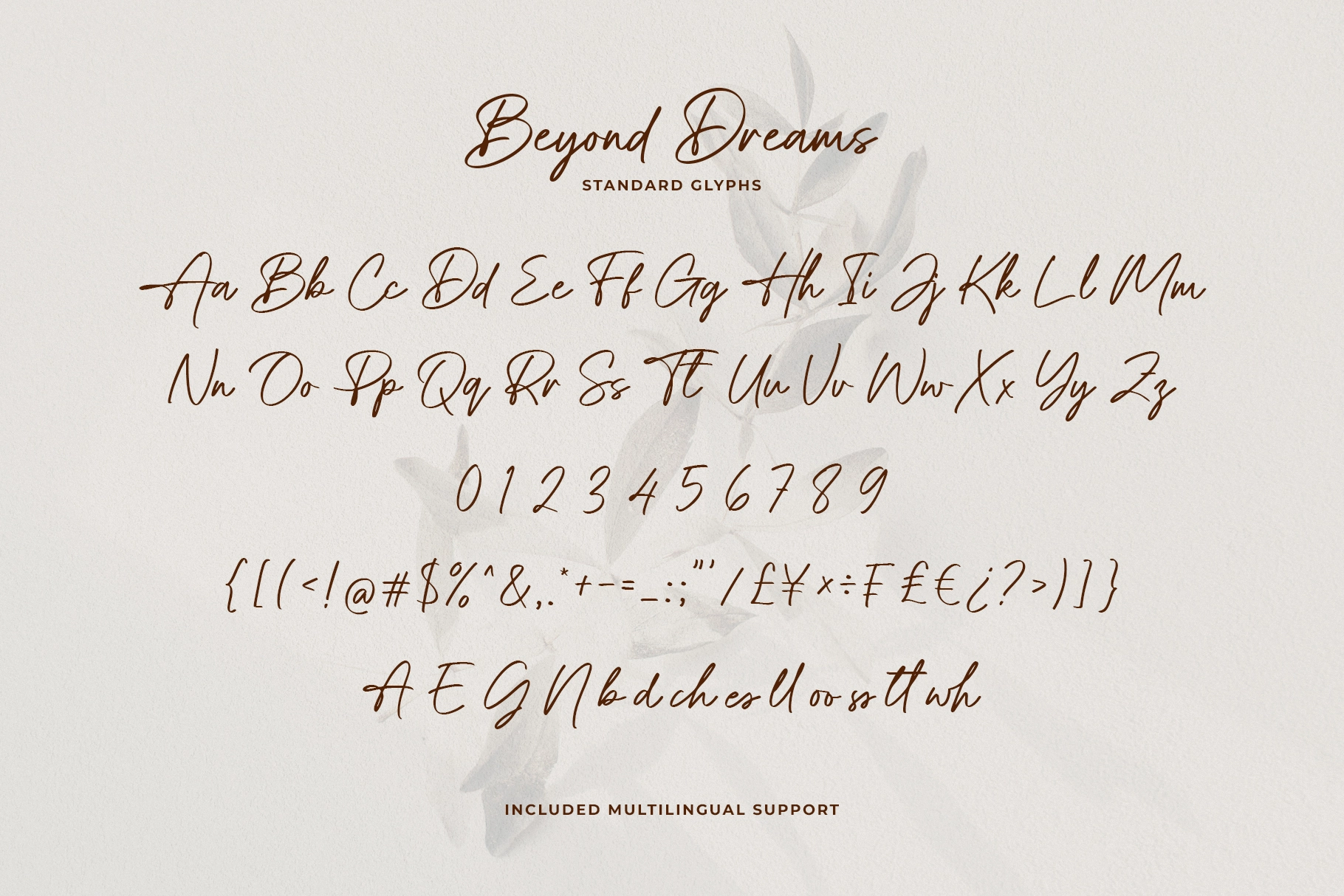 Beyond Dreams - Signature Script Font
