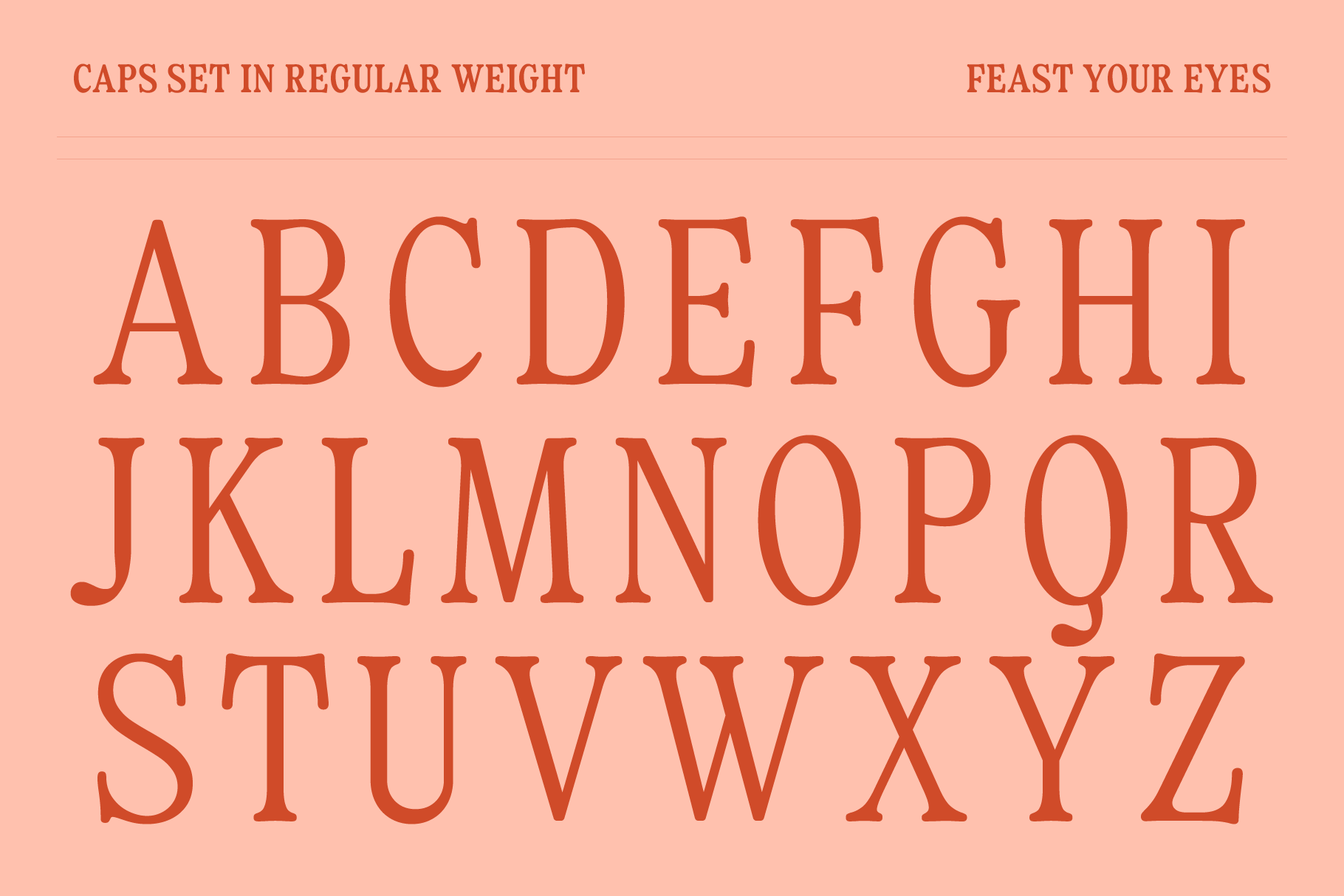 Fiyona - Retro Soft Serif Font Family