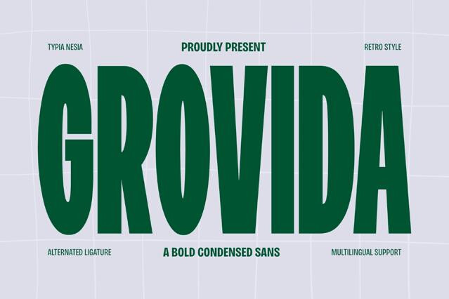 Grovida - Bold Retro Condensed Sans Font