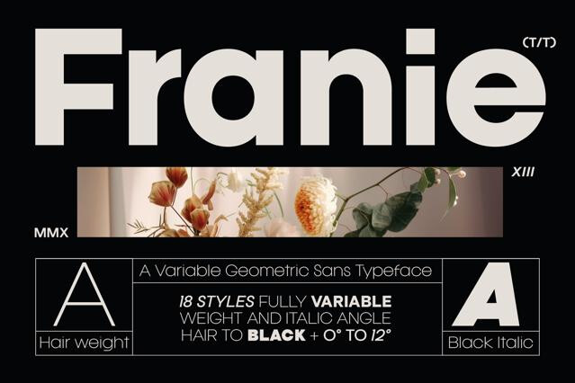 Franie - Geometric Sans Font Family