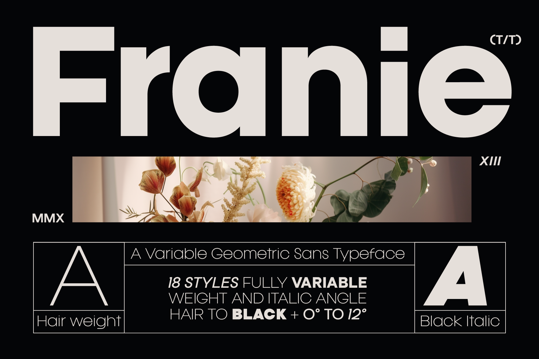 Franie - Geometric Sans Font Family