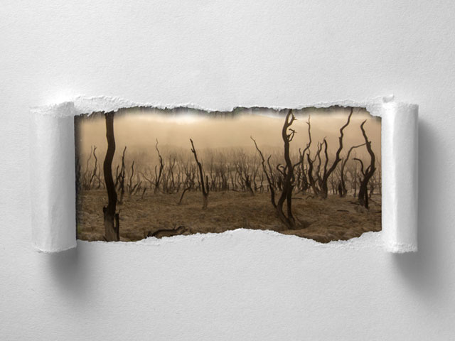 Photoshop Effect Tutorial: How To Make a Torn Image Overlay