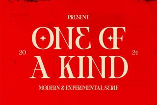 One Of a Kind | Serif Font