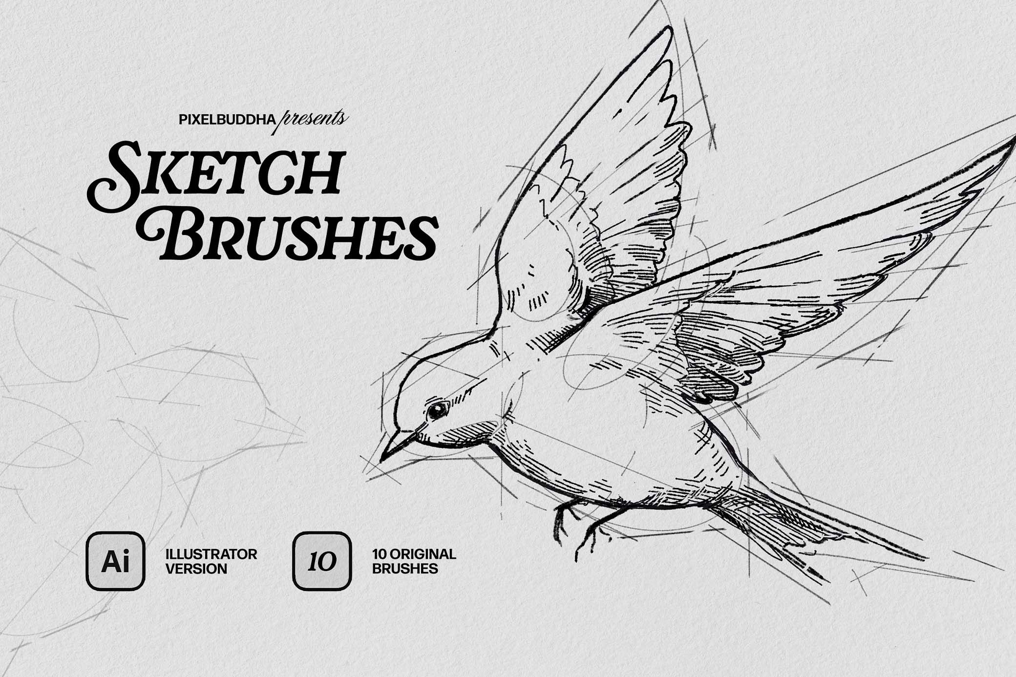 Sketch Illustrator Brushes
