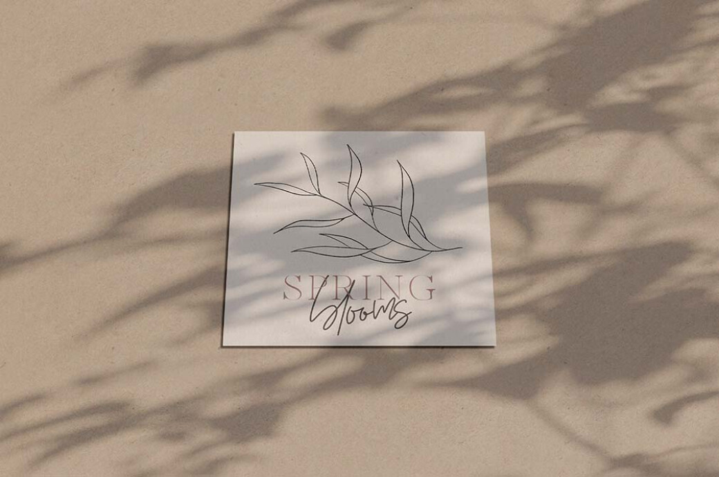 Marseille & Amsterdam Font Duo