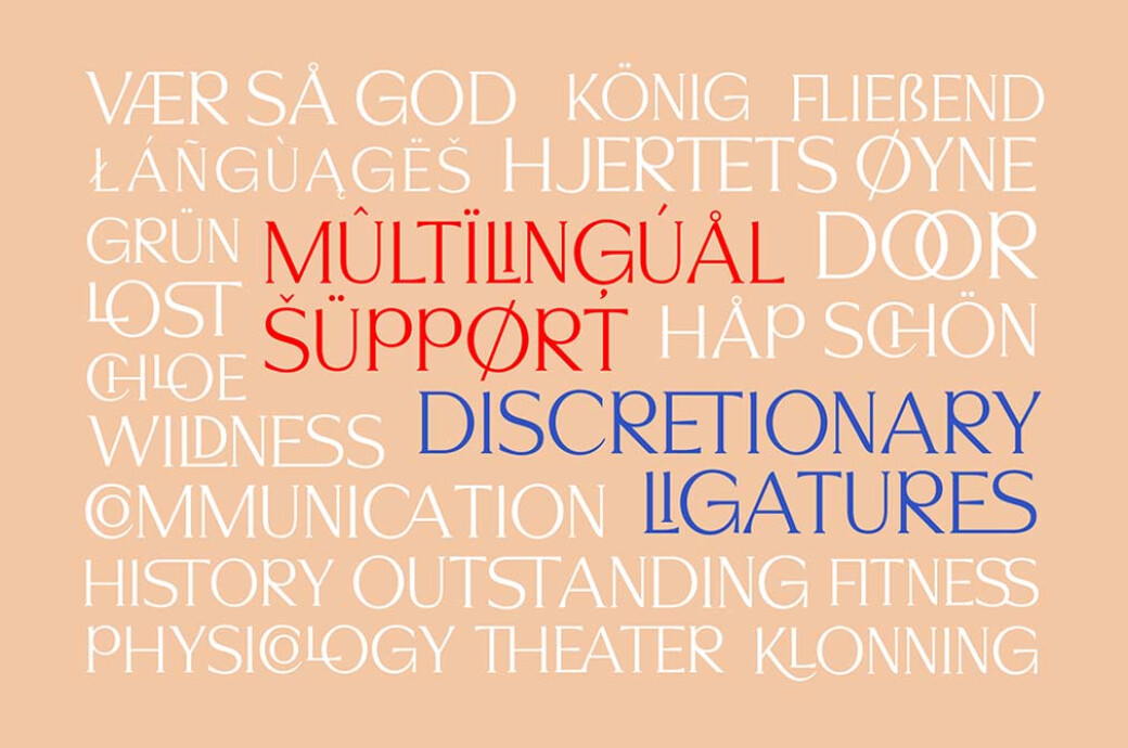 Signore Serif Typeface