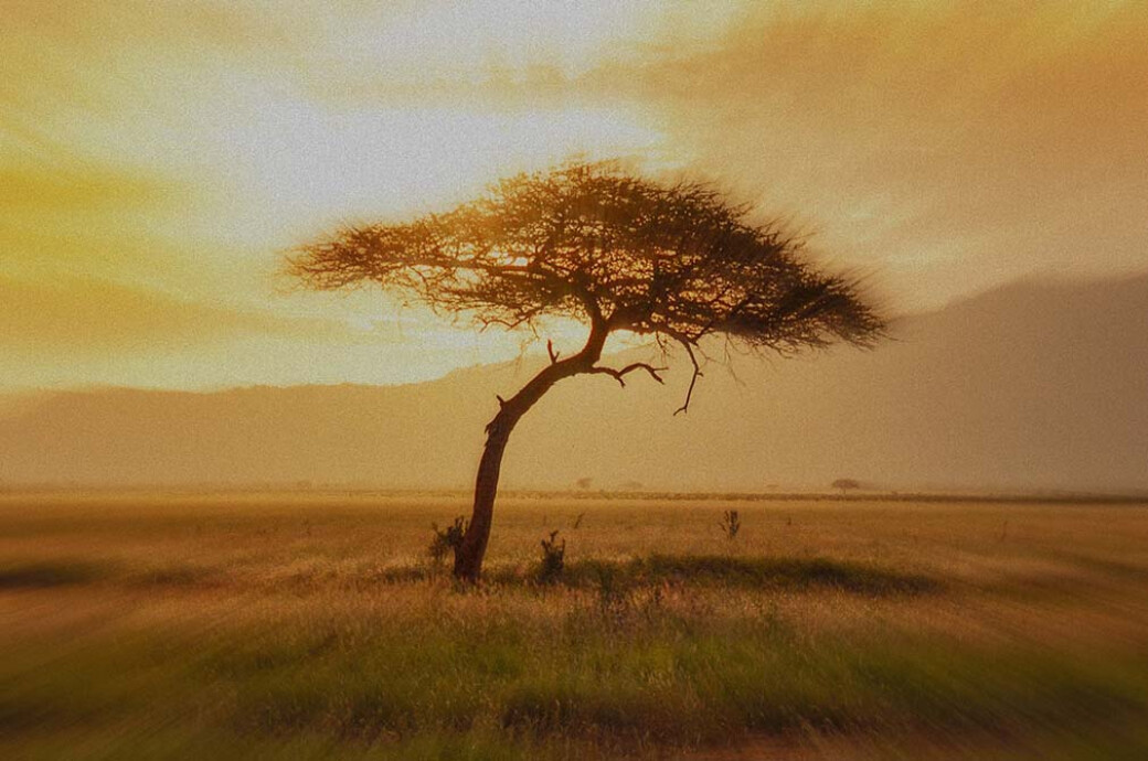 Blur Motion Poster Effect