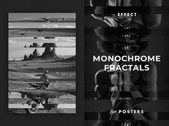 Monochrome Fractals Poster Effect
