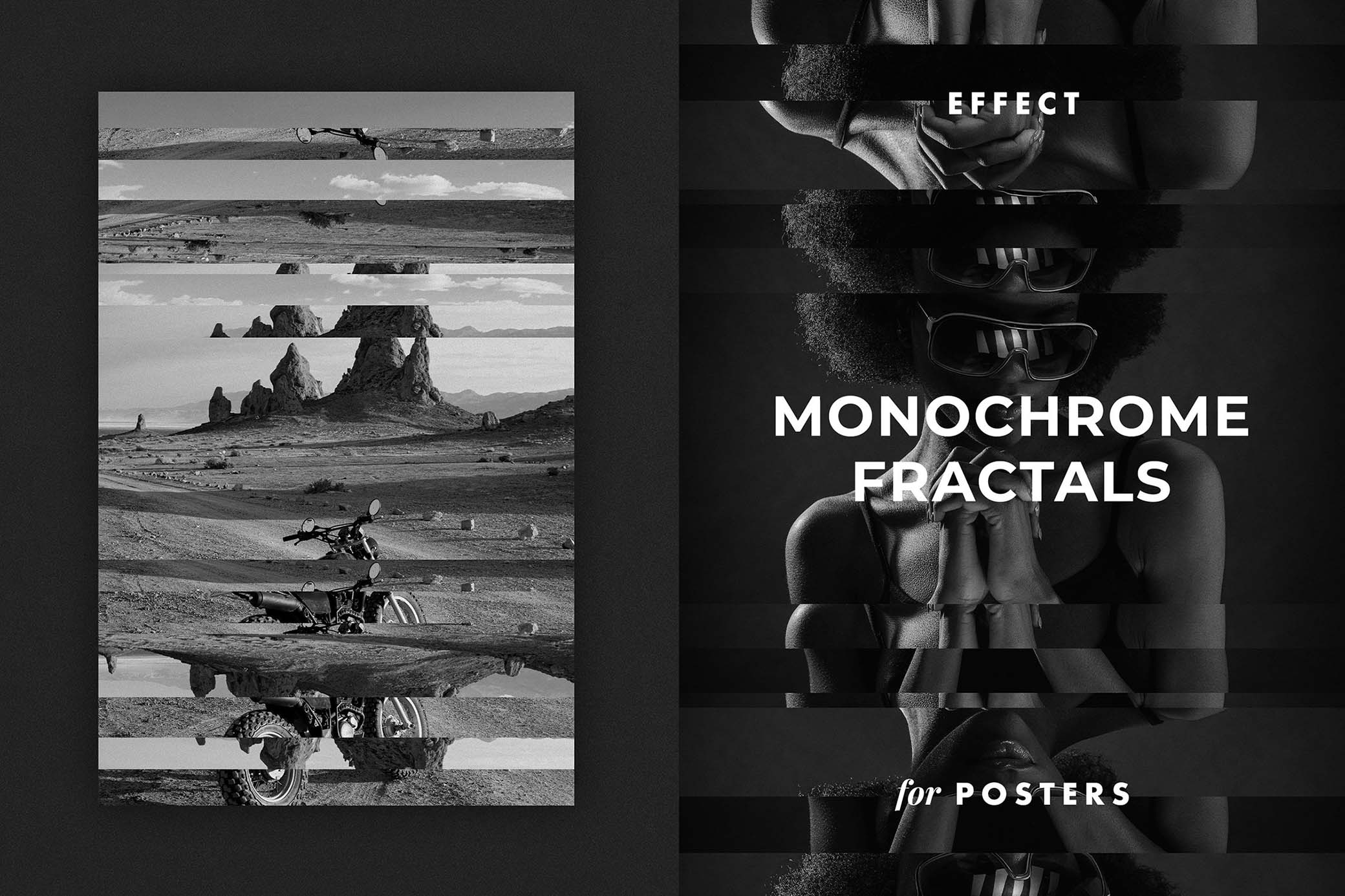 Monochrome Fractals Poster Effect