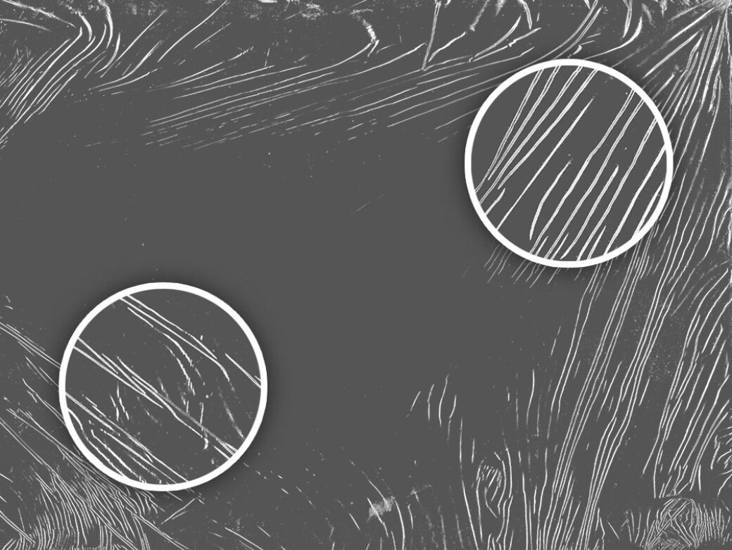 Rectangular Plastic Textures