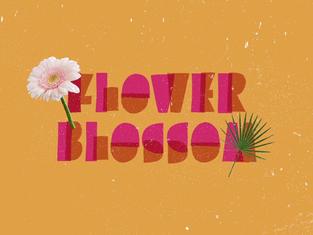 Better Hobby Display Font